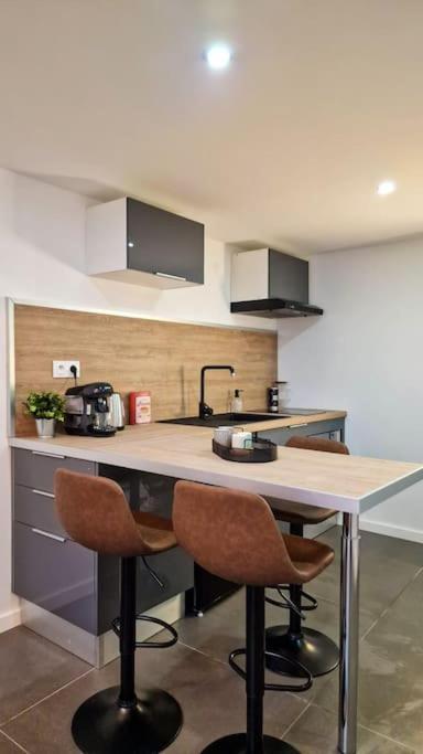 Ferienwohnung L'Atelier C Magnifique Loft Avec Terrasse Privee Saint-Etienne  Exterior foto